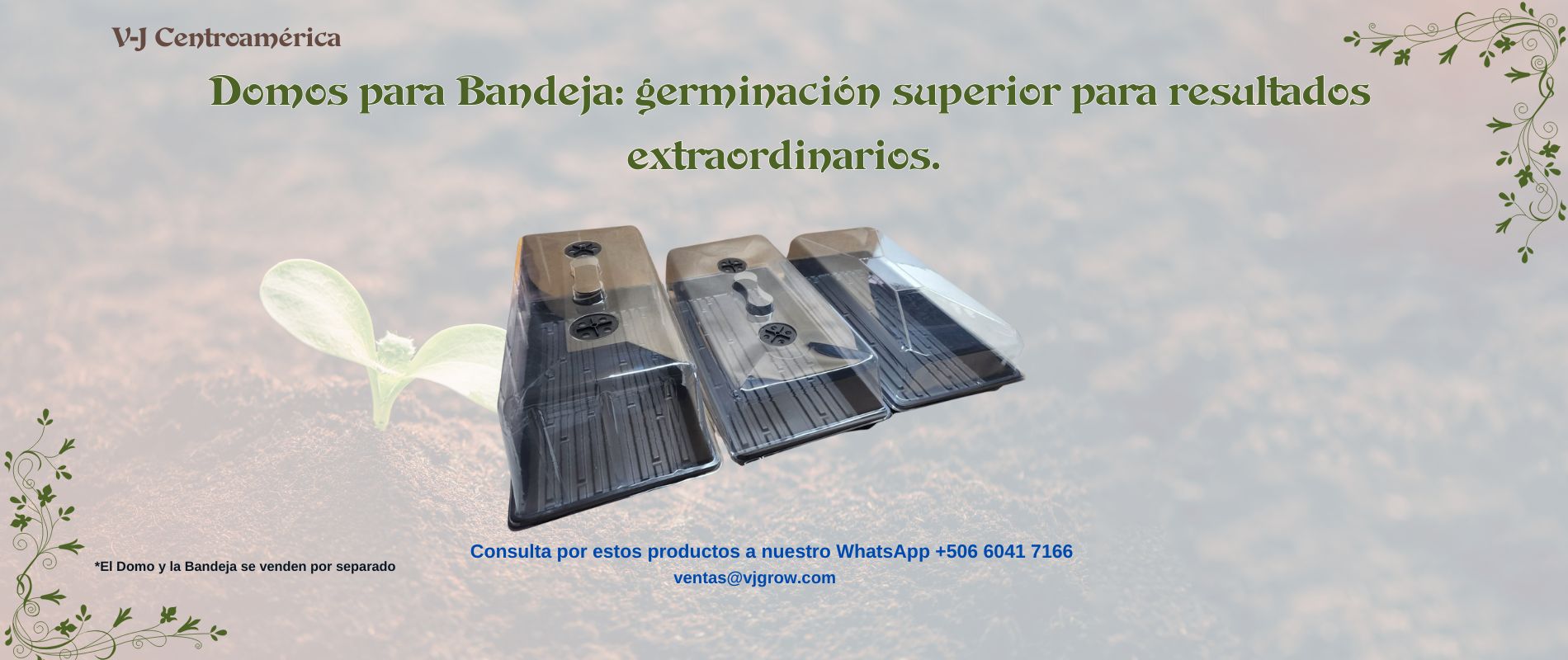 Bandejas plásticas y productos para invernaderos