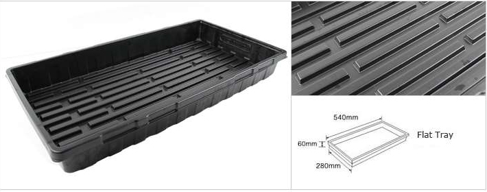 Bandeja Plana Hidropónica