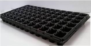 Bandeja 72 cavidades